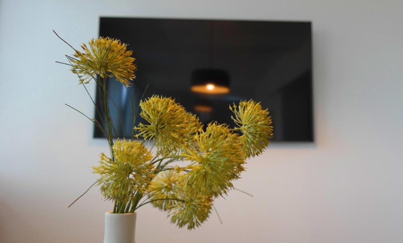 Apartment Flora Pula Bagian luar foto